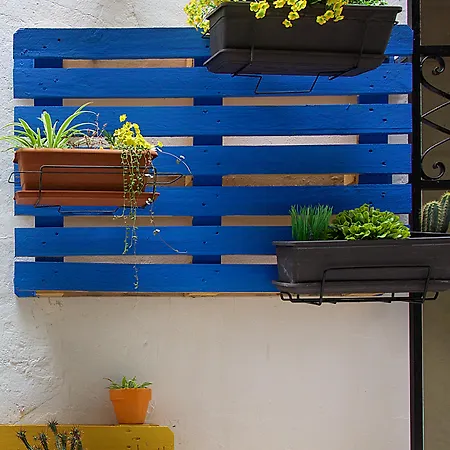 Hotel El Mercat Villajoyosa (La Vila Joiosa)